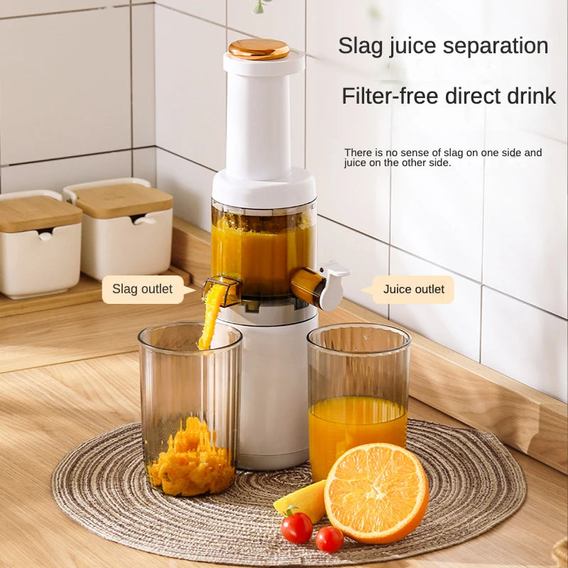 Mini Fruit Juicer