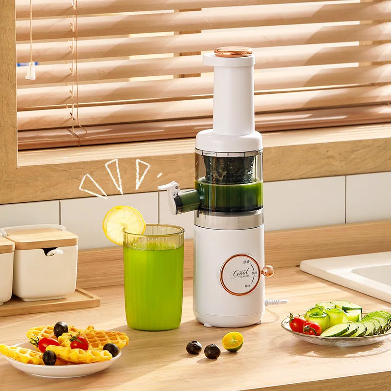 Mini Fruit Juicer