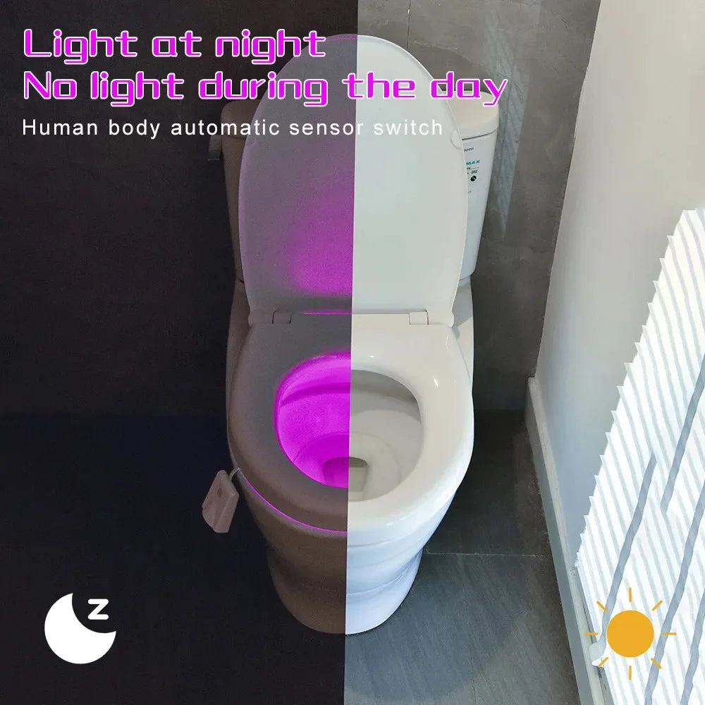 Toilet Night Lights