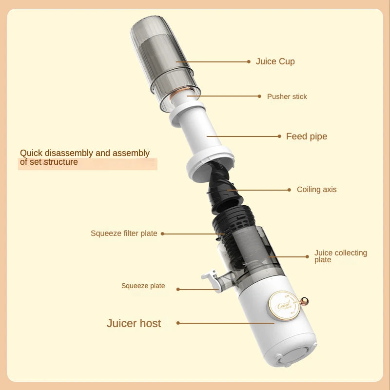 Mini Fruit Juicer